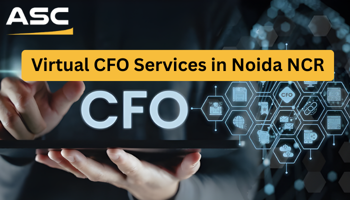 Virtual CFO Services in Noida NCR